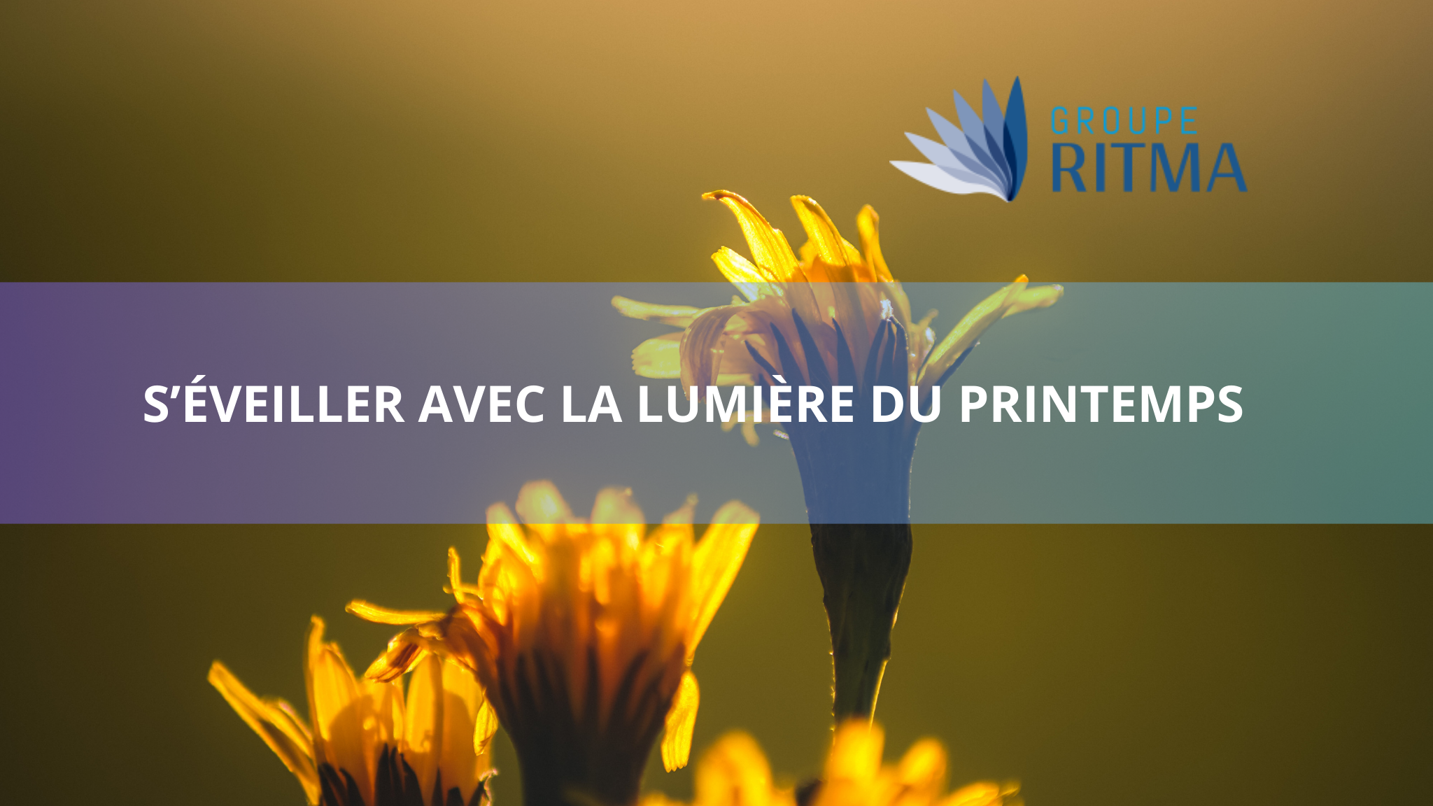 S’éveiller avec la lumière du printemps : instaurons une routine matinale bienfaisante