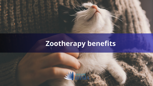 Zootherapy and Human Wellbeing