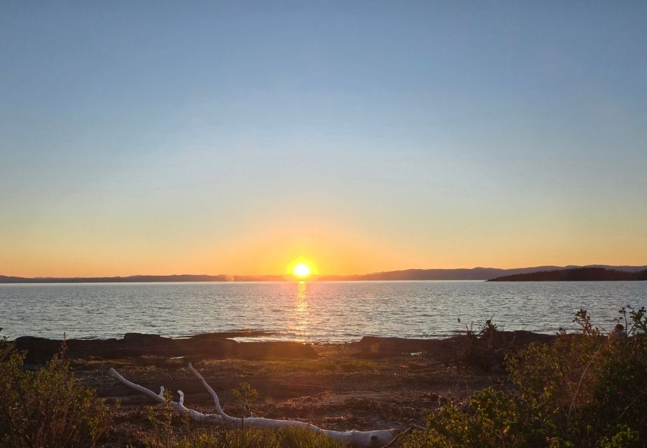The Sun: A Valuable Ally for Physical and Mental Health